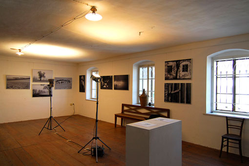 Ausstellungen